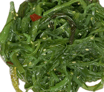 Seaweed