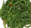 Seaweed