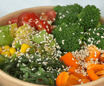 Vegan Poke Bowl